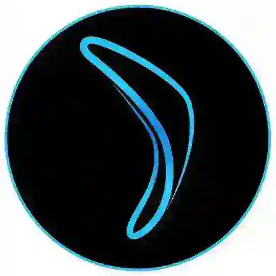 Boomerang Capital Chat