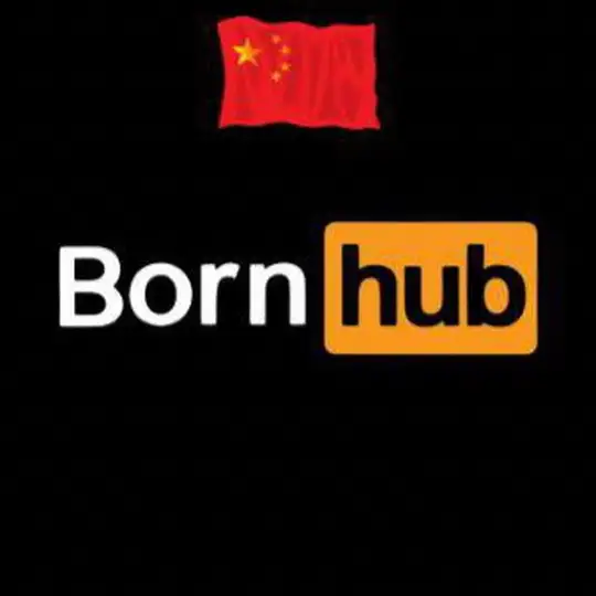 🇨🇳 BornHubCoin [Chinese Community]