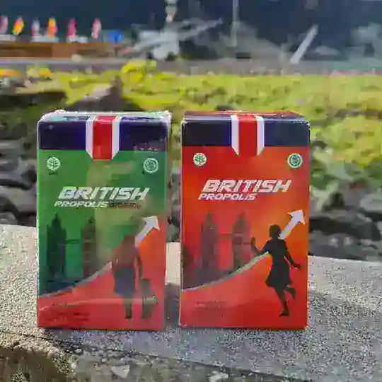 British Propolis Jatim π
