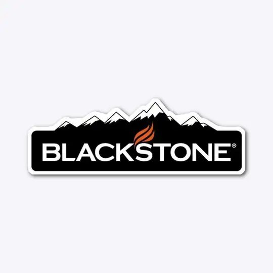 BLACK STONE INVESTMENT COMPANY