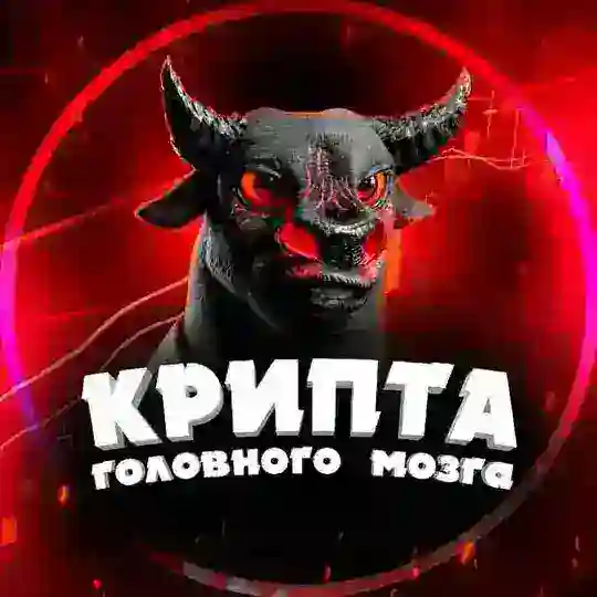 Крипта головного мозга 💎