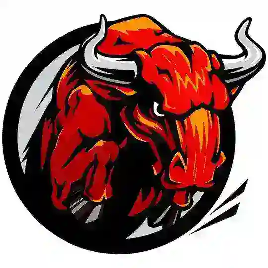 Bull Academy 🇹🇷