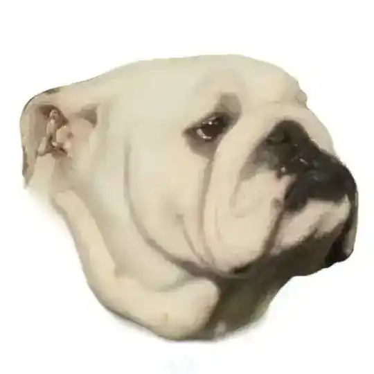 𝔹𝕦𝕝𝕝𝕕𝕠𝕘 𝕀𝕟𝕘𝕝é𝕤 𝔼𝕤𝕡𝕒ñ𝕒