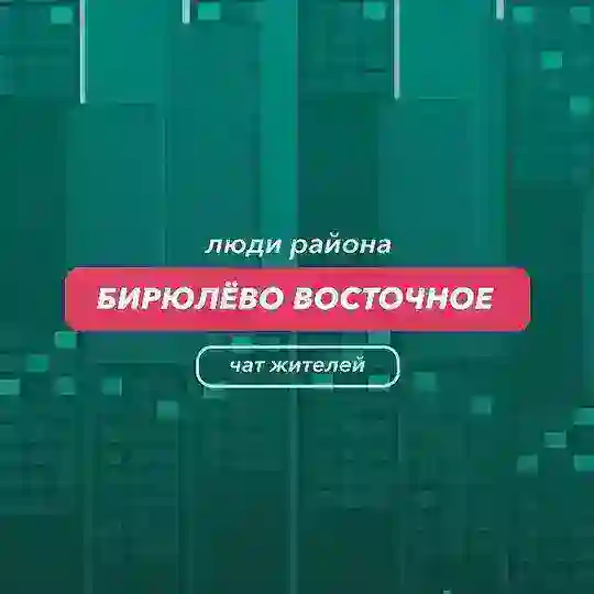 Бирюлёво Восточное | чат района
