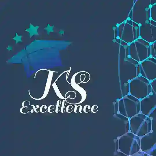KS EXCELLENCE ( ICAI )