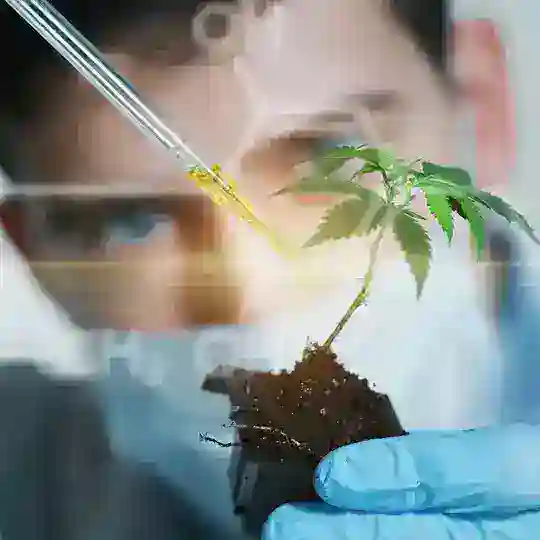 Cannacor Official Group