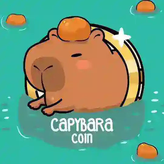 Capybara Coin 🇨🇳