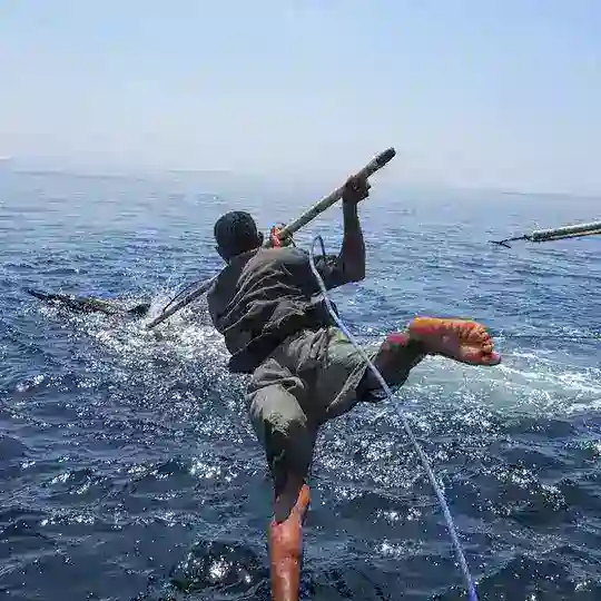 Cazadores de ballenas Cripto