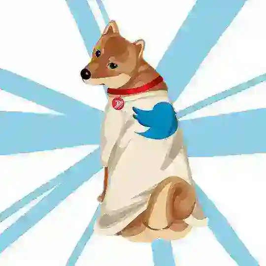 CDoge中文社区