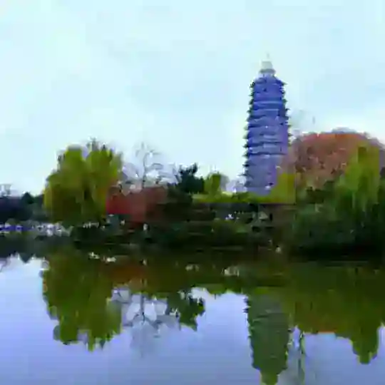 常州红梅公园逛逛