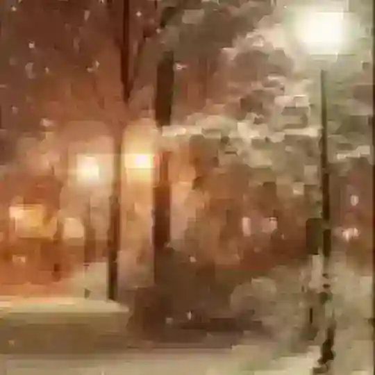 Чат знакомств Ростов на Дону