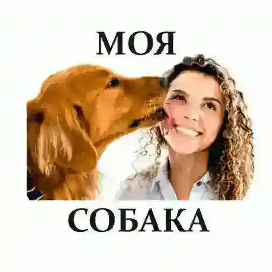 Моя Собака Общение