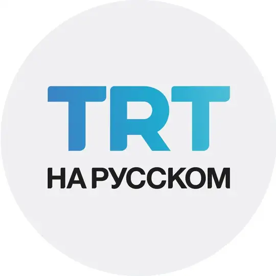 TRT на русском Chat
