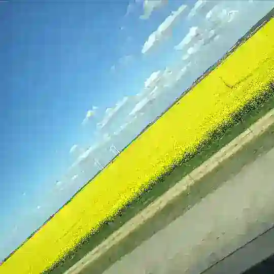Пиар Админов , покупка/продажа/услуги👨💻