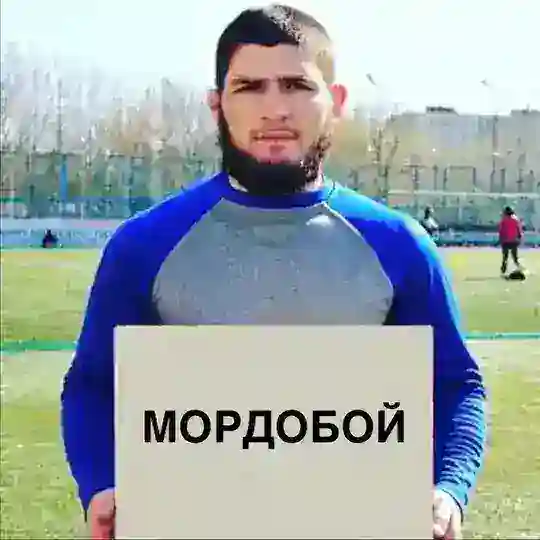 МОРДОБОЙ Chat