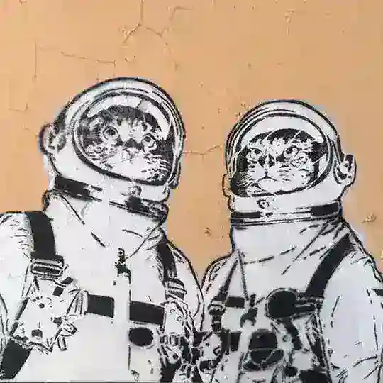 Первый Челябинский Чат