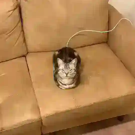Niachat π£οΈπ₯