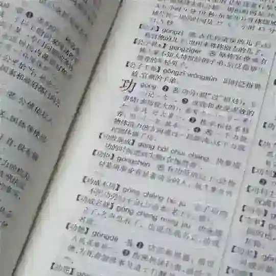 学汉语 | Chinese Studio