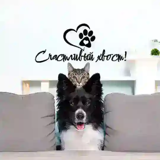 •Счастливый Хвост! •