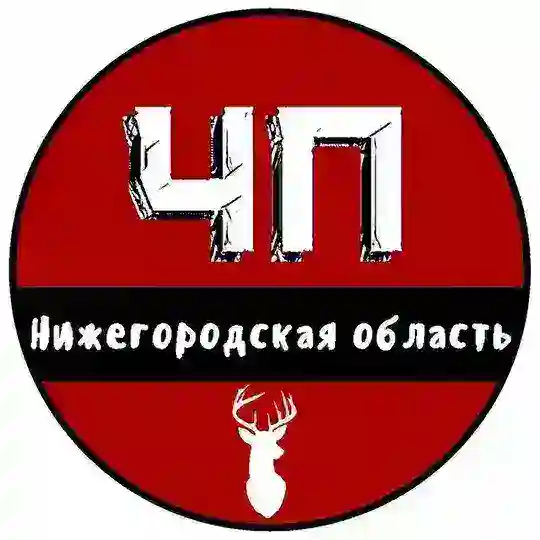 ЧП Нижний Новгород - ЧАТ