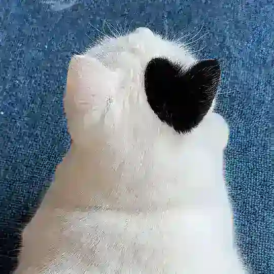 Чудо Юдо