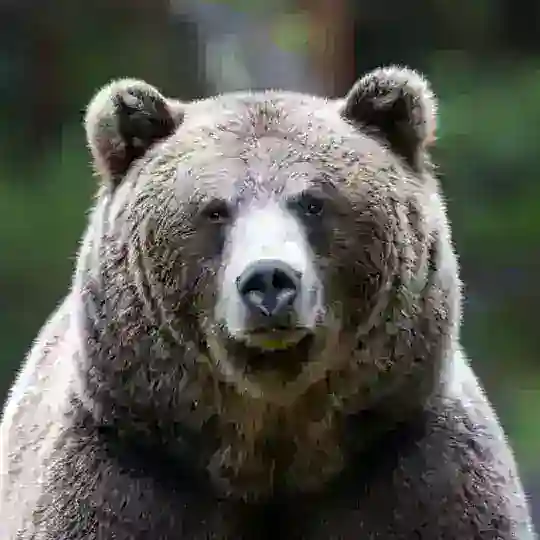 Kripto Fırsatları