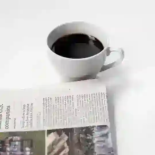 CHAT Uneversum common sense news