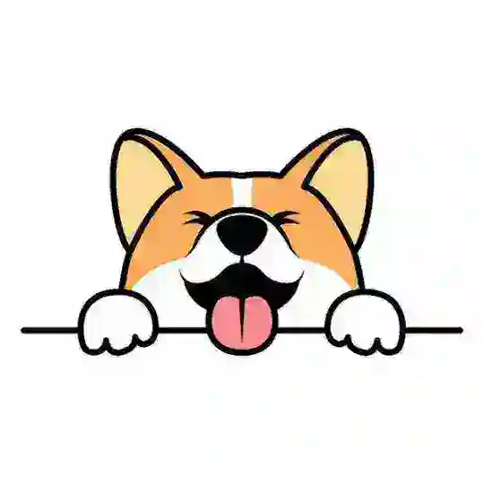 [EN] Corgidoge Official - Binance smartchain