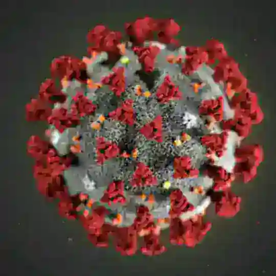 Coronavirus