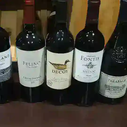 Cozy Moscow Wine Club chat