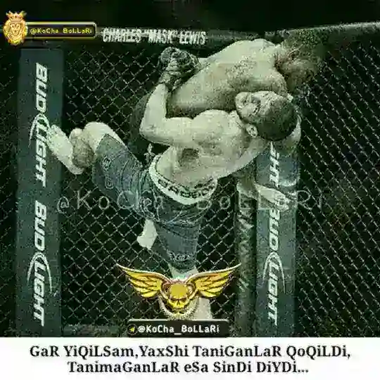 🤘Kocha Bollari 🤟