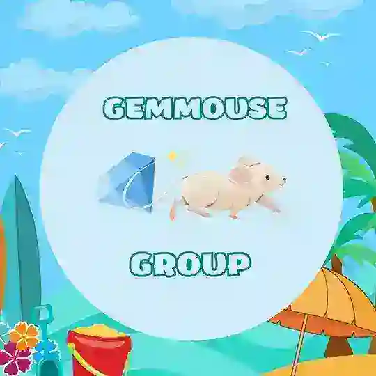 💎GemMouse Capital 🐁