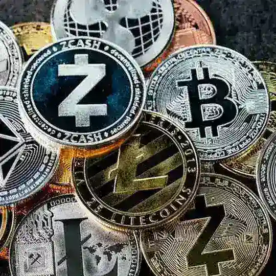 Crypto Kazanç & Referans Grubu