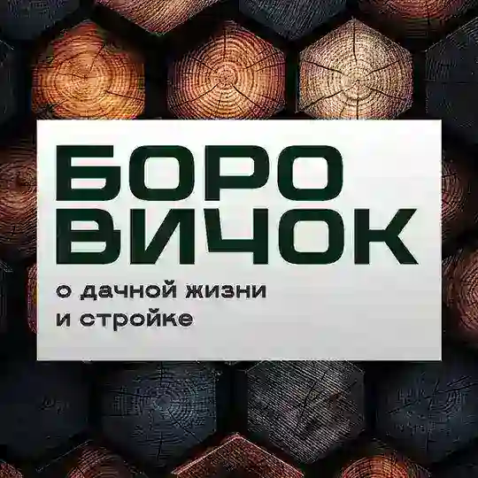 Боровичок (группа)