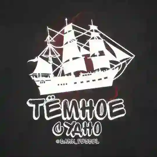 Тёмное судно — теневая экономика