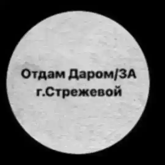 ОТДАМ ДАРОМ/ЗА г.СТРЕЖЕВОЙ