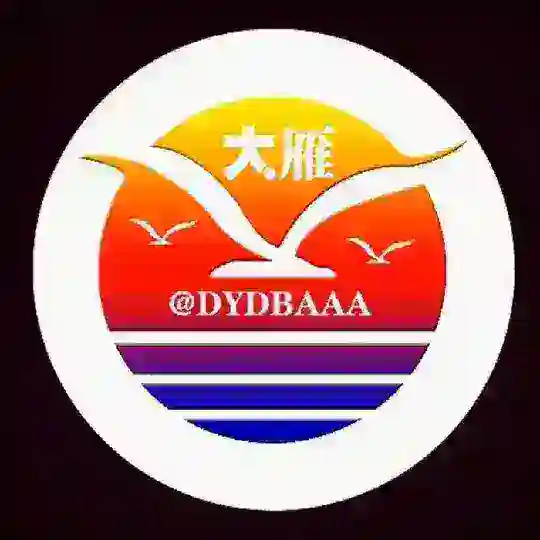 大雁出海🔹资源项目群