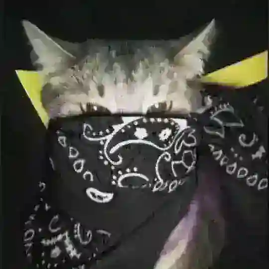 𝗱𝗲𝗮𝗱 𝗰𝗵𝗮𝘁𝗿𝗼𝗼𝗺 🕸