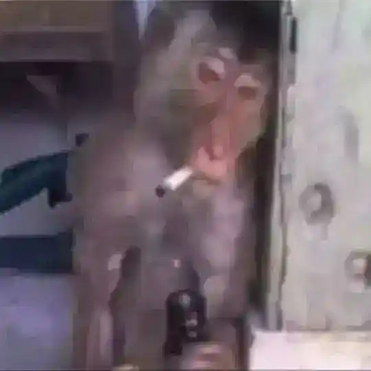 Degens on the base