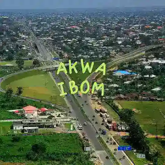 UYO MARKET