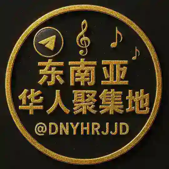 东南亚华人聚集地🎉