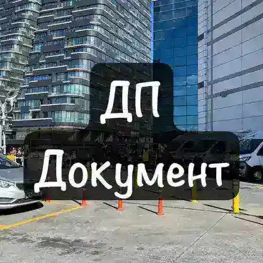 ДП Документ Помощь Стамбул