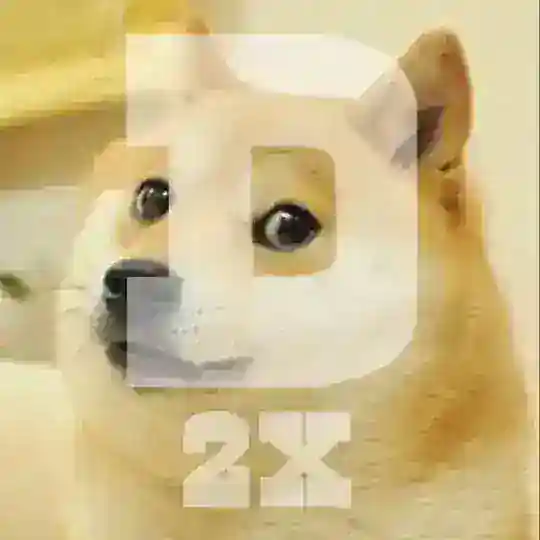 DOGE 2X