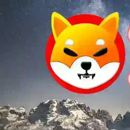 Doge Shiba