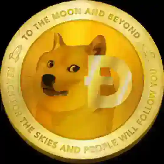 DOGE Tip & Rain