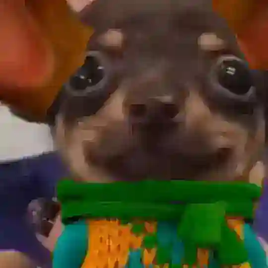 ☠Дом Барбоскиных☠