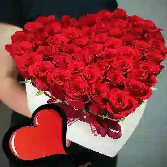 DOSTLAR ORTIRISH 💝💘💓