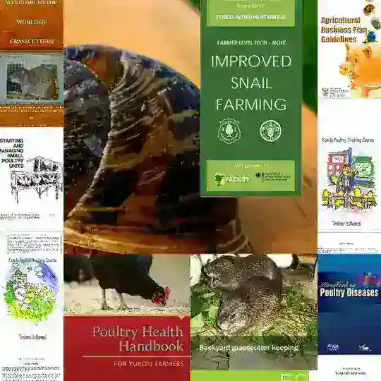 DOXA AGRICULTURAL BUSINESS