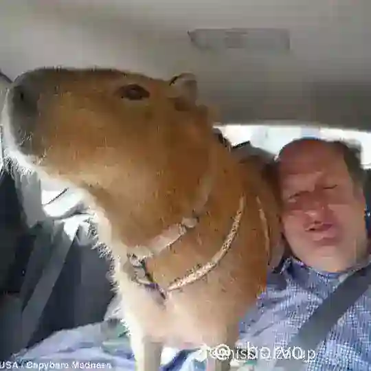хз как назвать