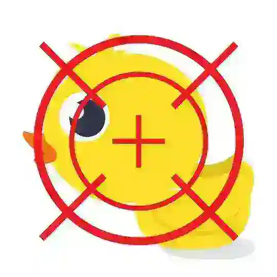 Duck Hunting